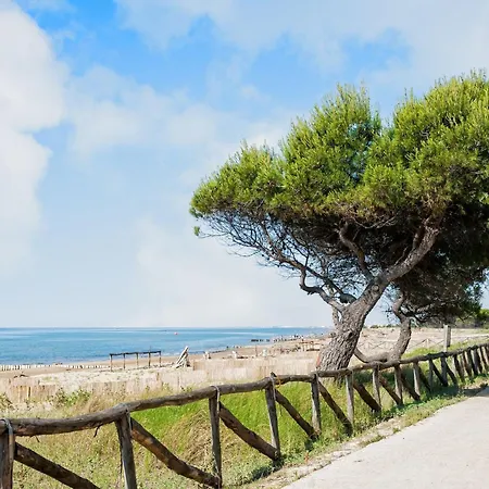 Cozy Flat With A Terrace-beahost Bibione